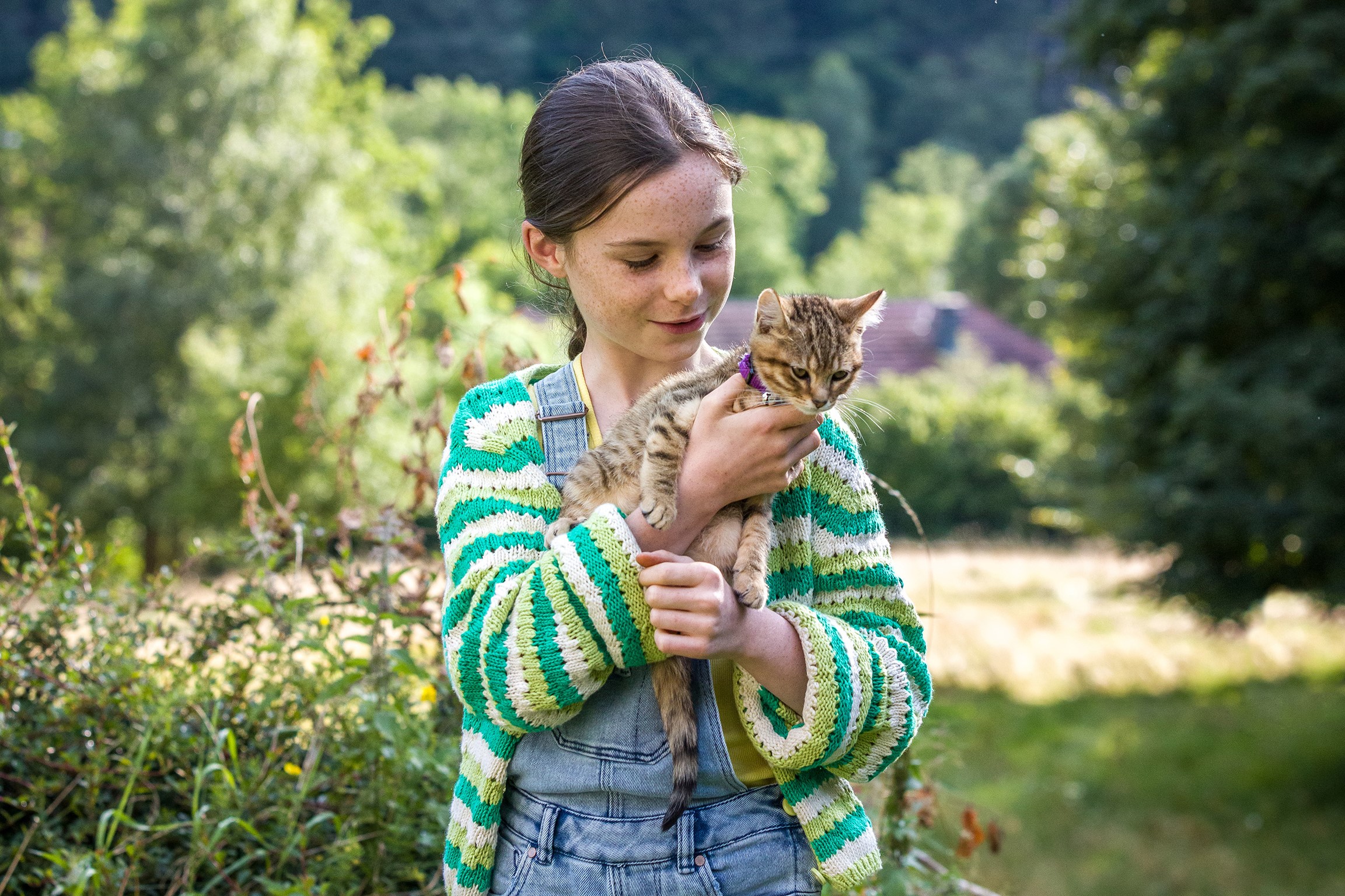 Mon chat et moi, la grande aventure de Rroû